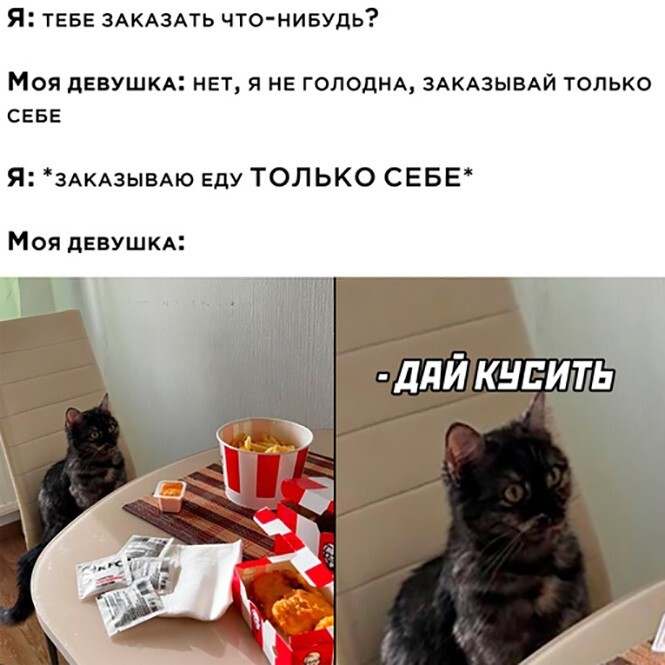 Фотоприколы и прикольные картинки