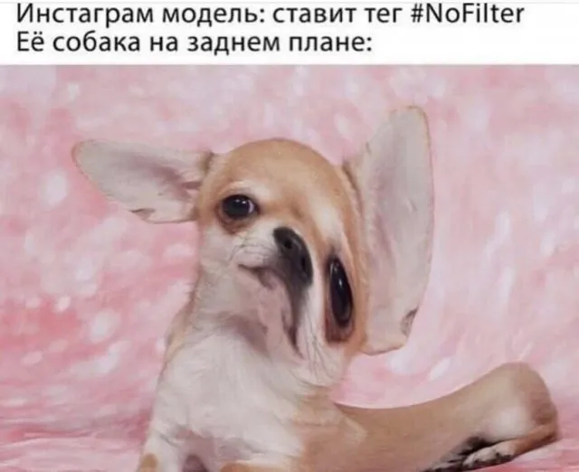 Юмор в картинках и без