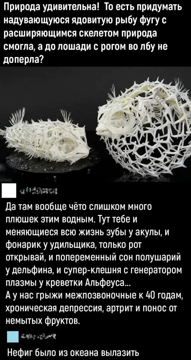 Юмор в картинках и без