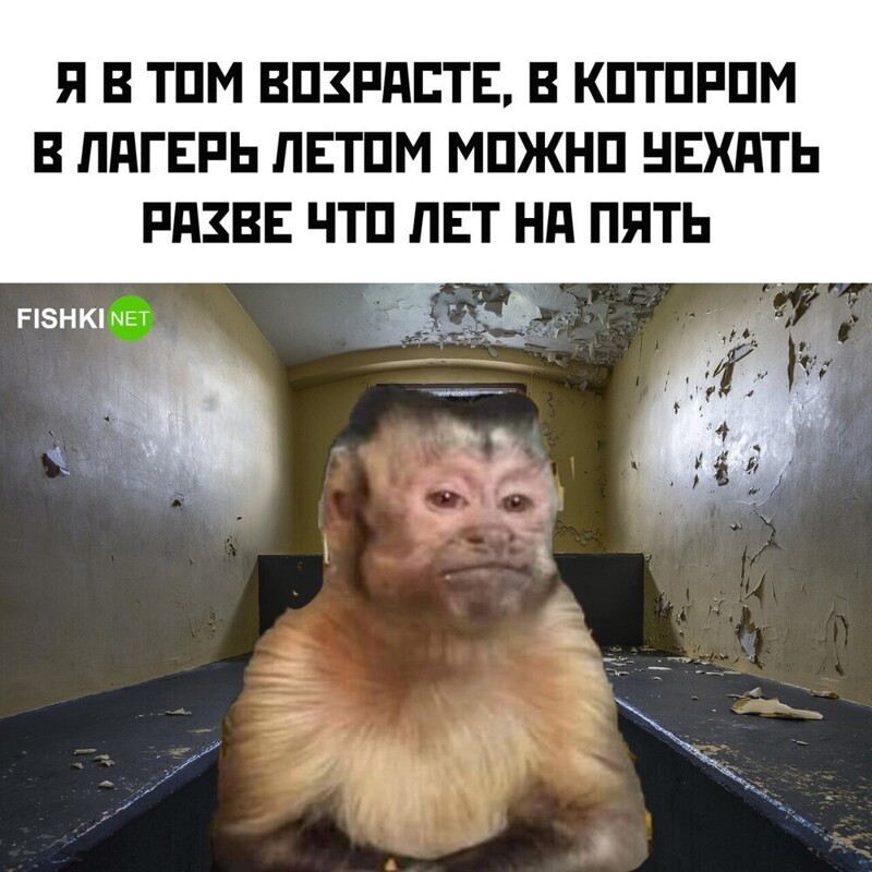 Комментарии и картинки из соцсетей. Свежак за 12 мая