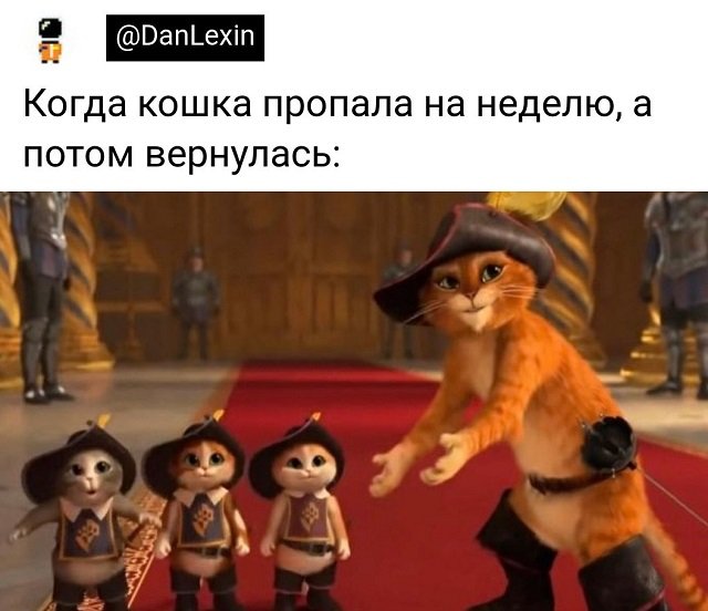 Подборка забавных твитов обо всем