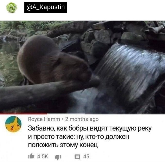 Подборка забавных твитов обо всем