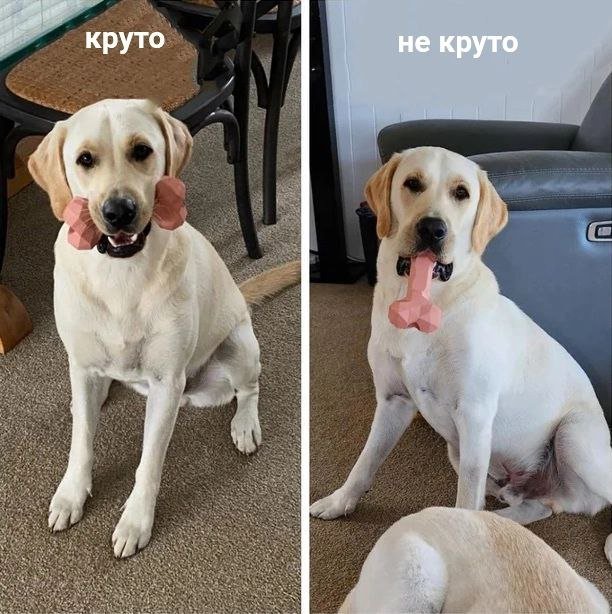 Лучшие шутки и мемы из Сети - 12.05.2023