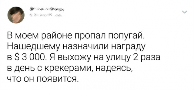Подборка забавных твитов