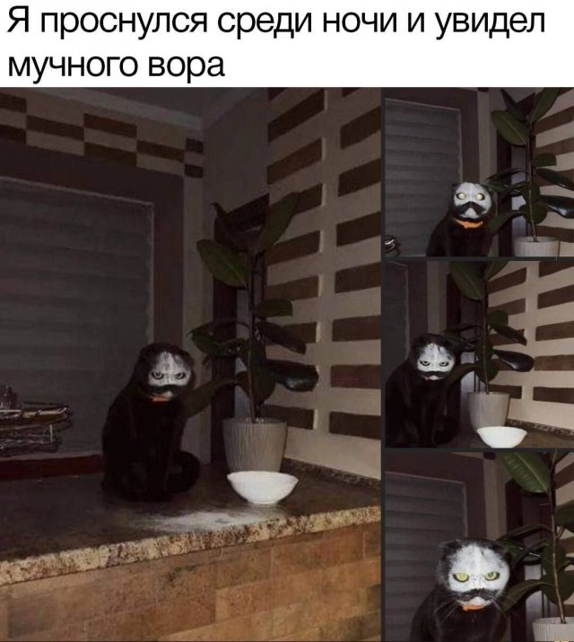 Лучшие шутки и мемы из Сети - 23.05.2023