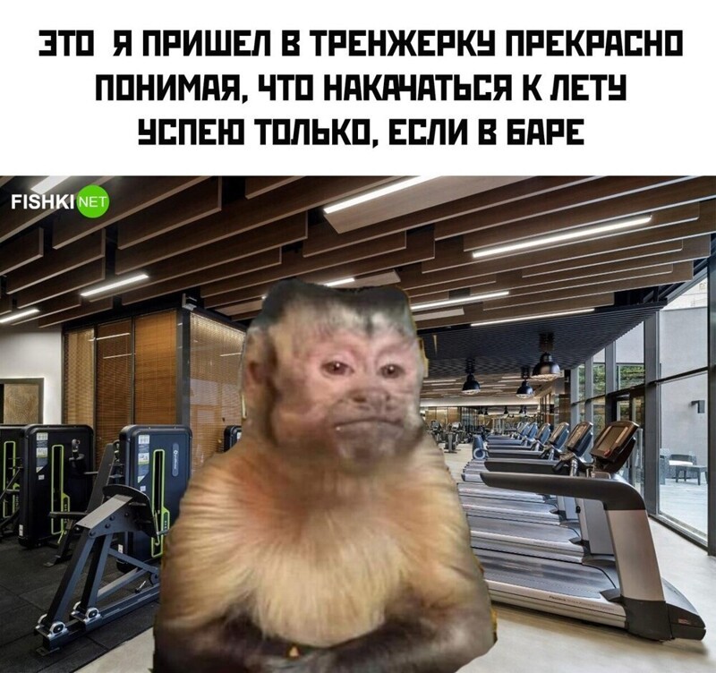 Комментарии и картинки из соцсетей. Свежак за 23 мая