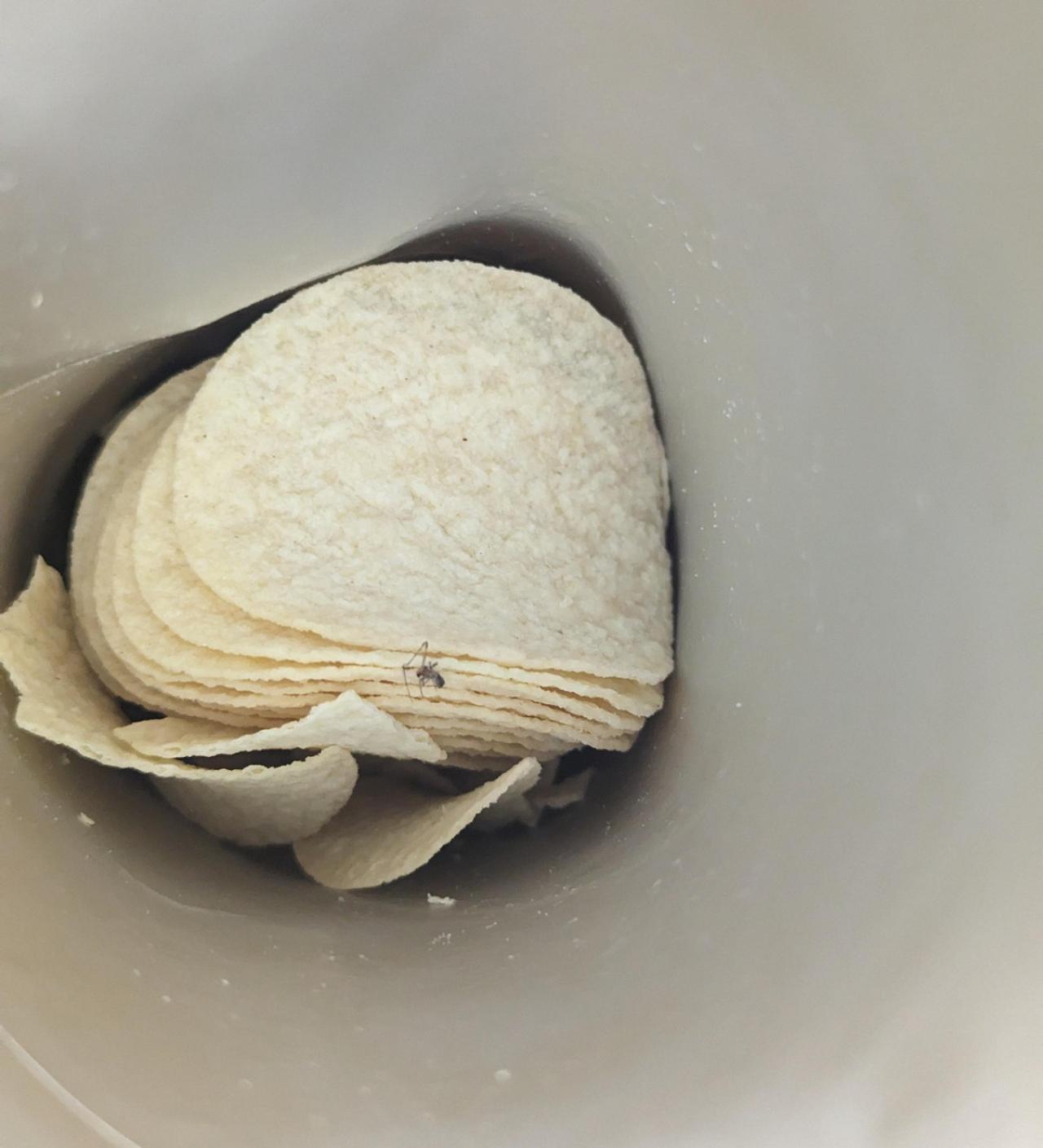 Бывают в жизни огорчения