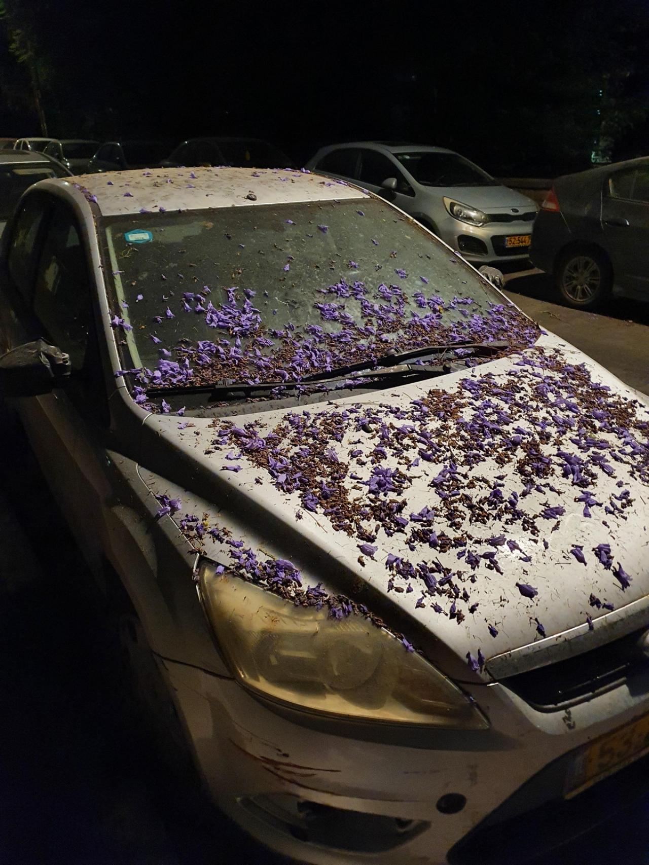 Бывают в жизни огорчения