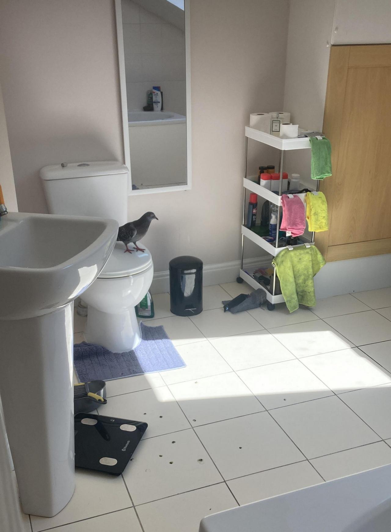 Бывают в жизни огорчения