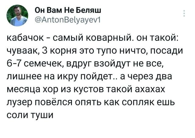 Подборка забавных твитов обо всем