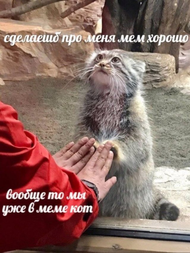 Лучшие шутки и мемы - 26.05.2023