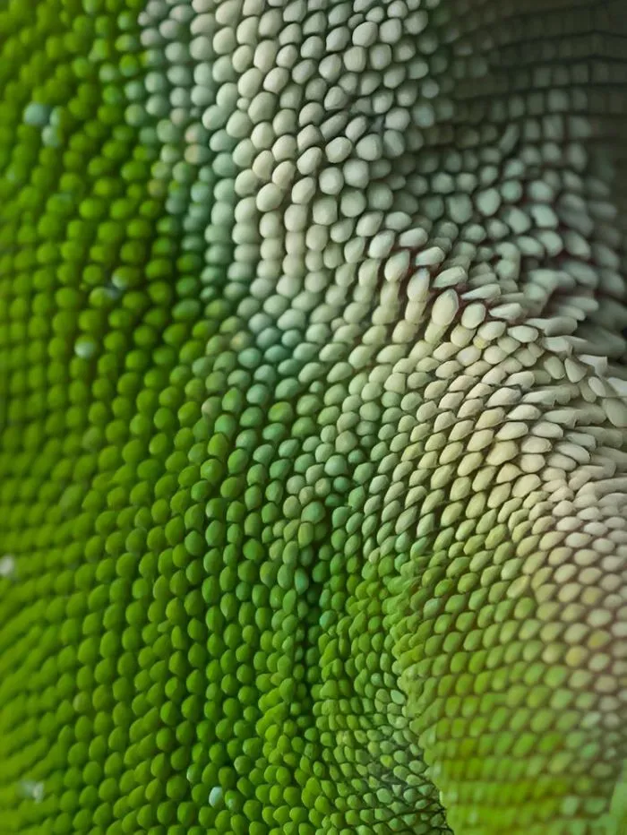 16 макрофотографий привычных вещей, которые так сразу и не узнаешь