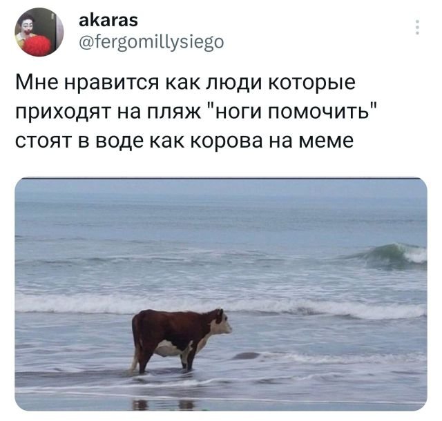 Подборка забавных твитов обо всем