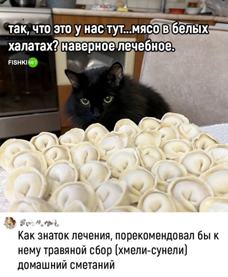 Комментарии и картинки из соцсетей. Свежак за 31 мая