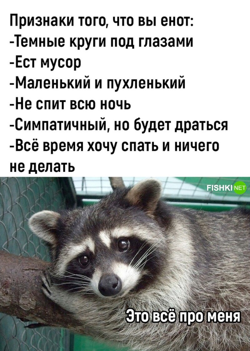 Комментарии и картинки из соцсетей. Свежак за 31 мая