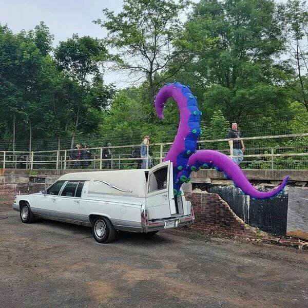 Подборка картинок. Вечерний выпуск - 31.05.2023