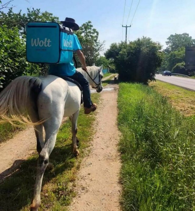 Подборка картинок. Вечерний выпуск - 31.05.2023