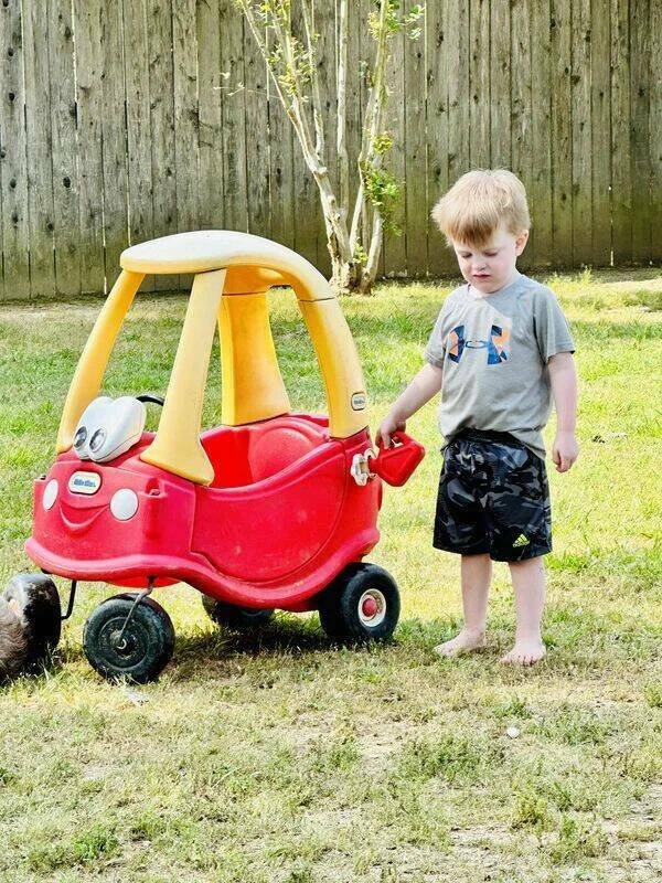 Подборка картинок. Вечерний выпуск - 31.05.2023