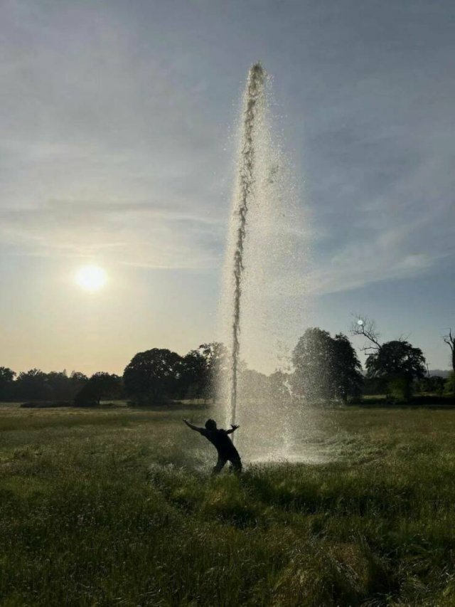 Подборка картинок. Вечерний выпуск - 31.05.2023