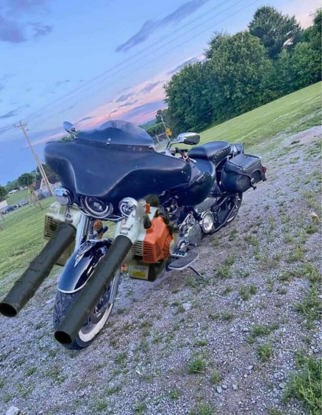 Подборка картинок. Вечерний выпуск - 31.05.2023