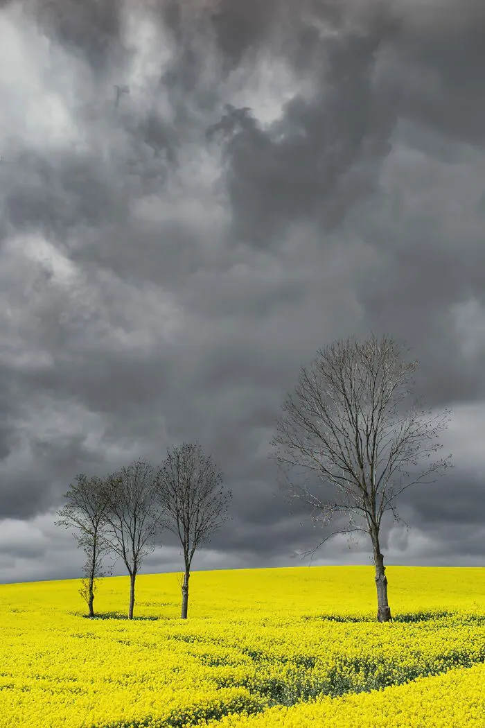 25 художественных снимков в эстетике минимализма