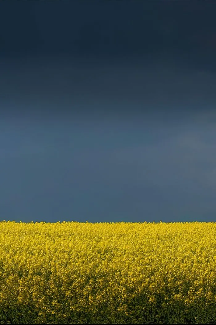 25 художественных снимков в эстетике минимализма