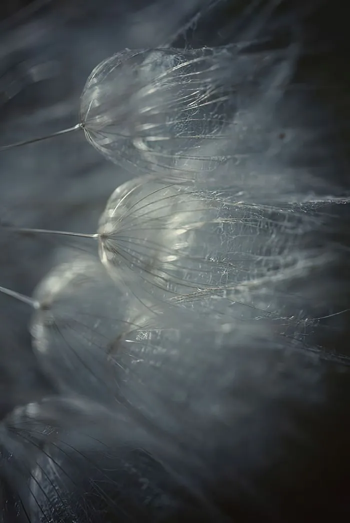 25 художественных снимков в эстетике минимализма