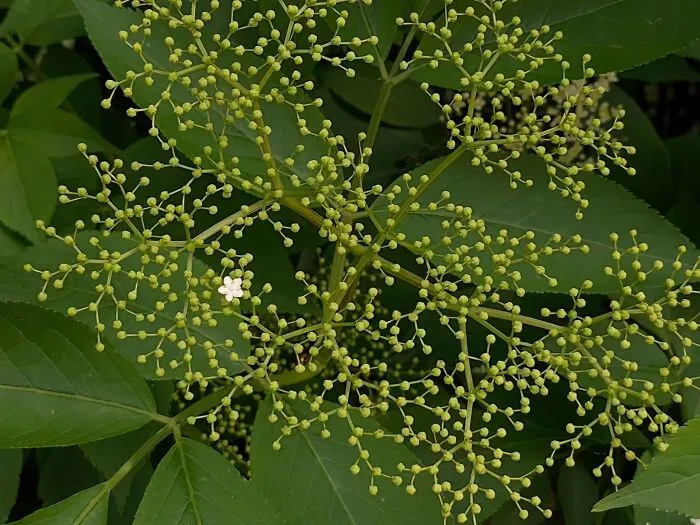 25 художественных снимков в эстетике минимализма