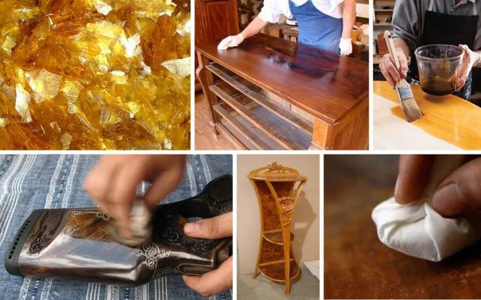 Керрия лакка: Смолу, которую делают эти насекомые, мы едим на яблоках и конфетах! А ещё её используют для детонаторов. Что это за вещество? Керрия лакка: Смолу, которую делают эти насекомые, мы едим на яблоках и конфетах! А ещё её используют для детонаторов. Что это за вещество?