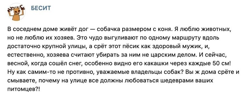 3. Собачники порой хуже животных