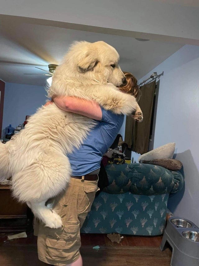 Фотография: 22 фото, на которых зашкаливает уровень мимимишности №5 - BigPicture.ru