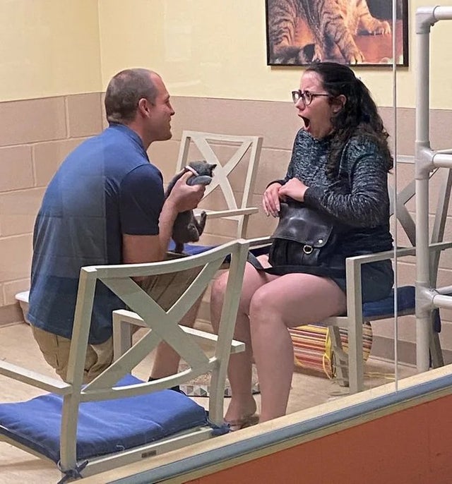 Фотография: 22 фото, на которых зашкаливает уровень мимимишности №12 - BigPicture.ru