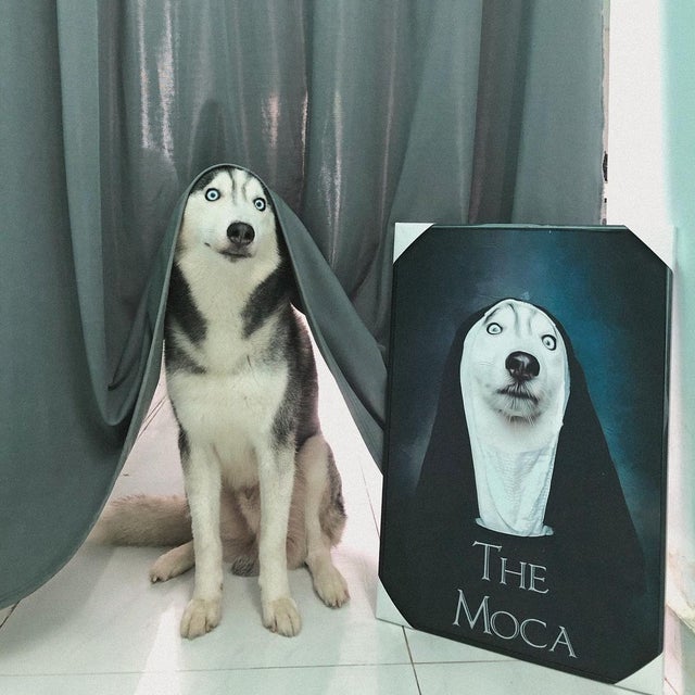 Фотография: 22 фото, на которых зашкаливает уровень мимимишности №6 - BigPicture.ru