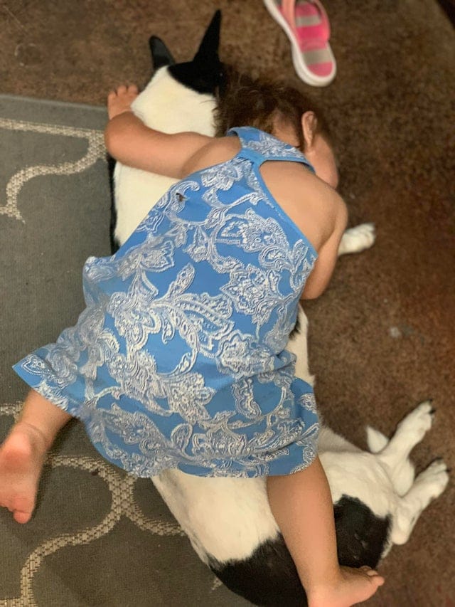 Фотография: 22 фото, на которых зашкаливает уровень мимимишности №4 - BigPicture.ru