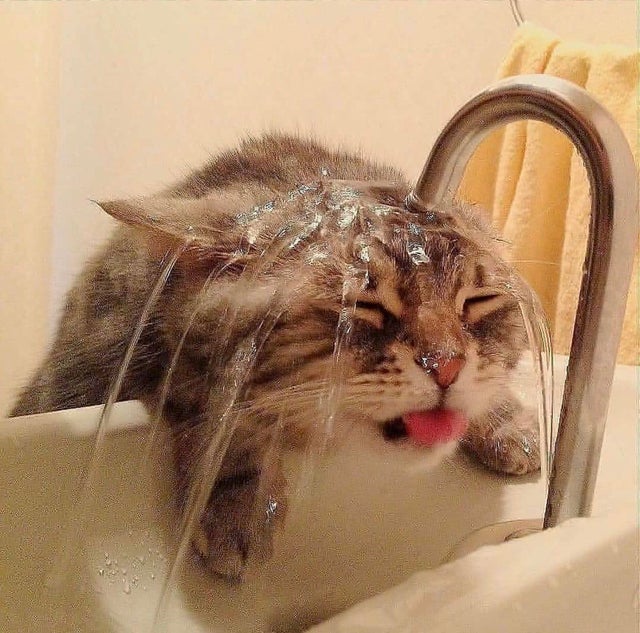 Фотография: 22 фото, на которых зашкаливает уровень мимимишности №3 - BigPicture.ru