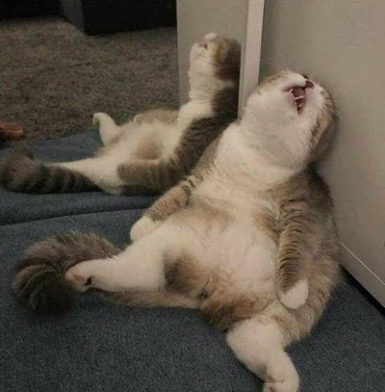 Фотография: 22 фото, на которых зашкаливает уровень мимимишности №7 - BigPicture.ru