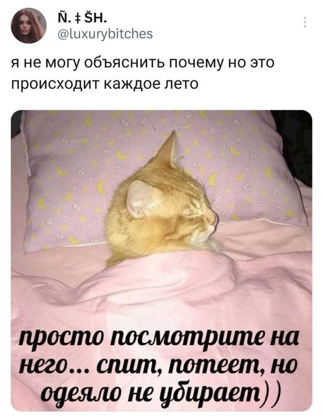 Подборка забавных твитов обо всем