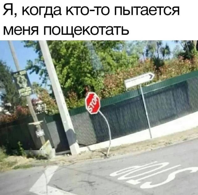 Лучшие шутки и мемы из Сети - 07.06.2023