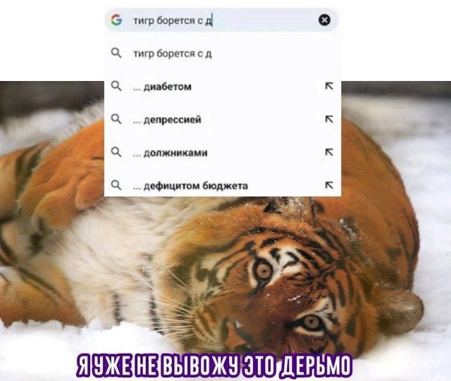 Лучшие шутки и мемы из Сети - 07.06.2023