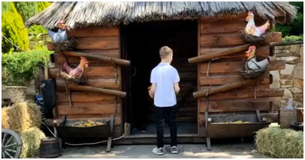 Уличный аттракцион по мотивам электронной игры «Ну, погоди!»