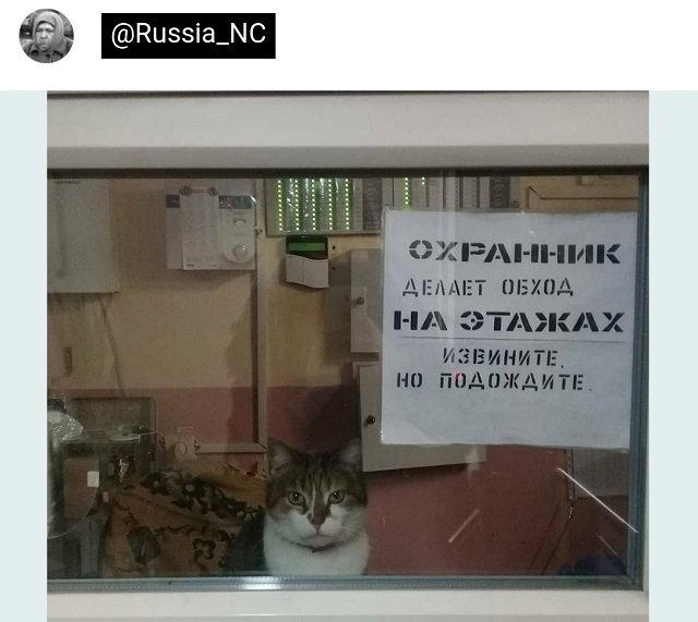 Подборка забавных твитов обо всем