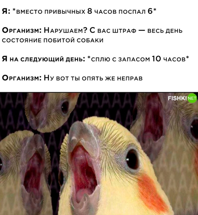 Комментарии и картинки из соцсетей. Свежак за 16 июня