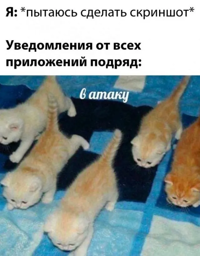 Картинки и мемы