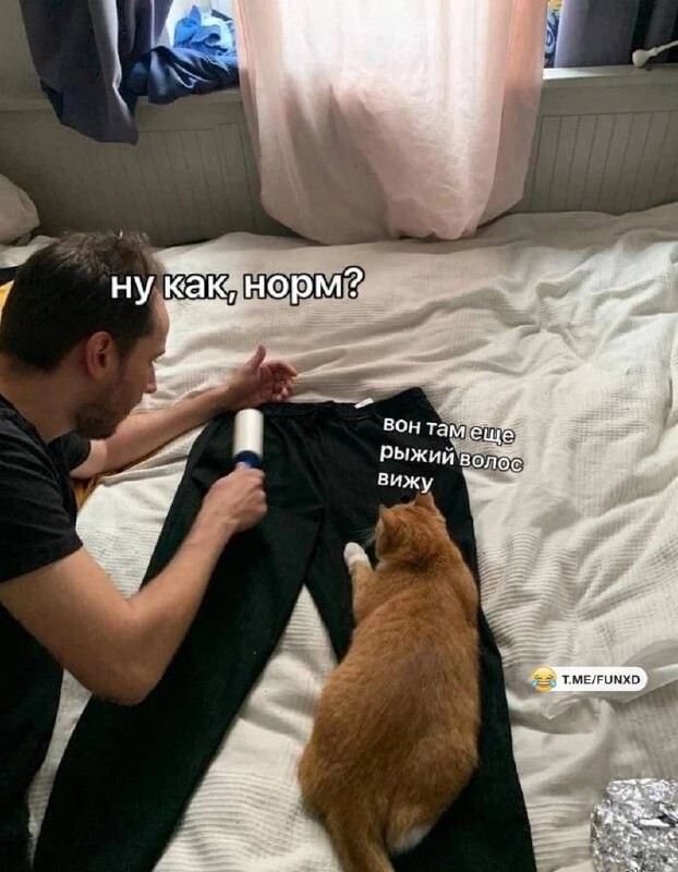 Фотоприколы и прикольные картинки