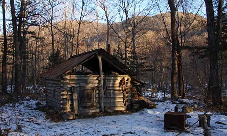 Фотография: Таежная Лолита, или Почему многодетная отшельница Анна Антипина вернулась к людям №7 - BigPicture.ru