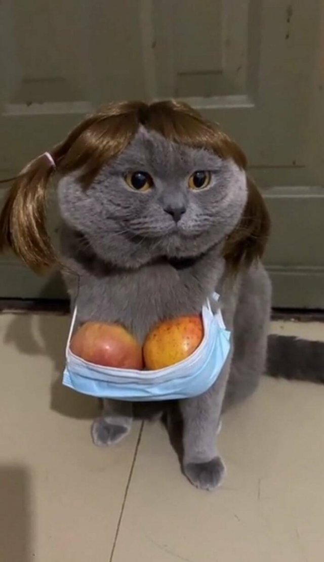 Подборка картинок. Вечерний выпуск - 19.06.2023