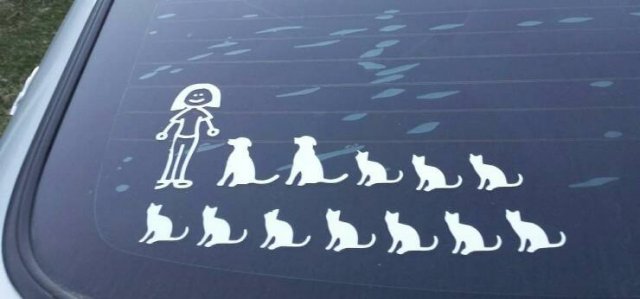 Подборка картинок. Вечерний выпуск - 19.06.2023