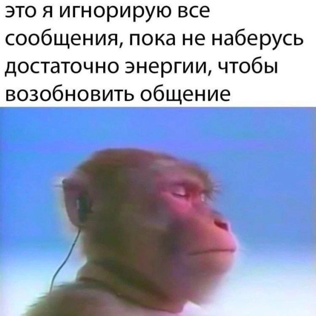 Лучшие шутки и мемы - 19.06.2023