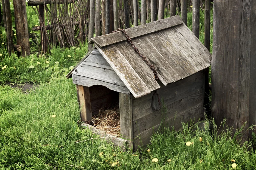 Эта будка много лет была домом Дуси Мерзляковой