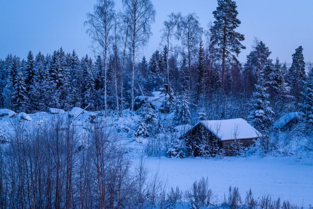 Таежная заимка